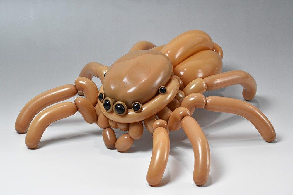 http://cdn.idntimes.com/content-images/community/2017/06/masayoshi-jumping-spider-50cafb50a0a0a0bad697a57b7d3df2ee.jpg