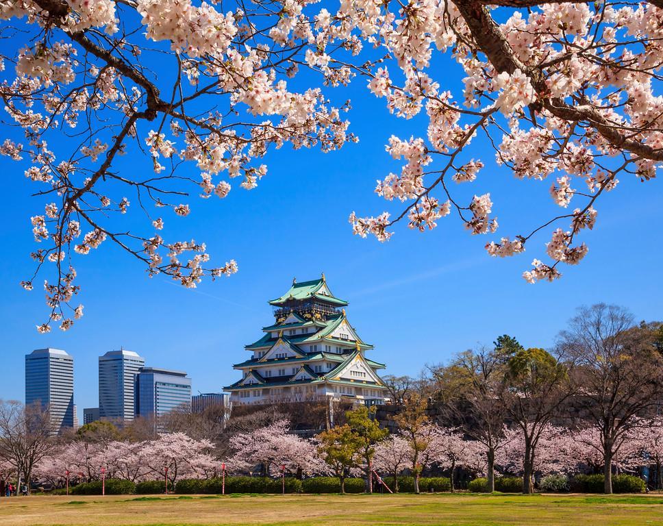 https://cdn.idntimes.com/content-images/post/20180118/osaka-insideosakacom-86b861fcd7dc655d0b4726327c349cd6.jpg