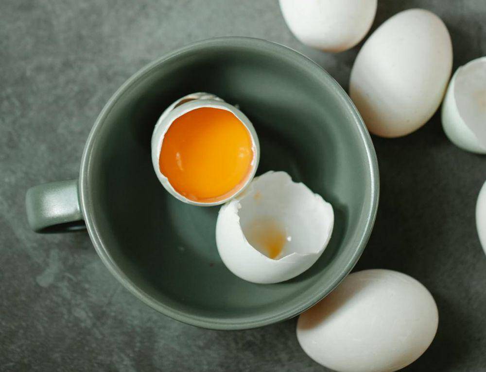 Potret telur 