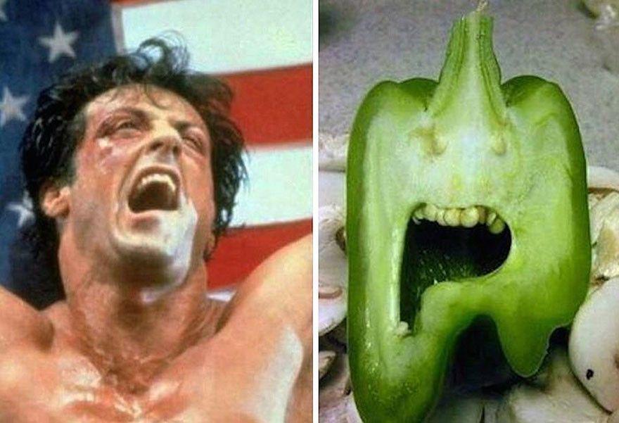 http://cdn.idntimes.com/content-images/community/2017/04/silvester-stallone-dan-paprika-74b87859ed3ab861a50b7b9a8073fe86.jpg