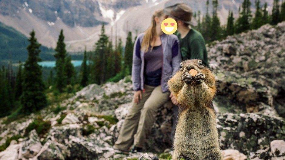 http://cdn.idntimes.com/content-images/community/2017/11/squirrel-2-1-cd7312a6bb7187628faf4acb1c4e0e60.jpg
