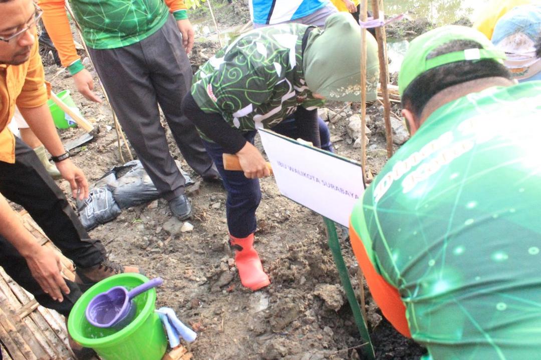 https://cdn.idntimes.com/content-images/post/20180201/wali-kota-risma-menanam-pohon-di-hutan-kota-lontar-2-3fa7d47fcb6aba779e9f86e7826ce7d4.jpeg