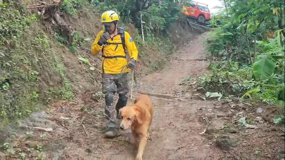 Anjing Pelacak Deteksi Lokasi Diduga Korban Longsor di Trenggalek