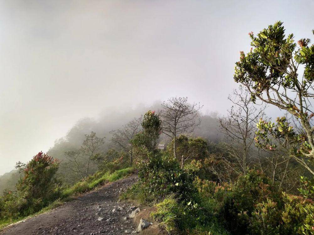 Taman Nasional Gunung Merapi sebagai salah satu Geopark Nasional Jogja (google.com/Shravan Kumar)