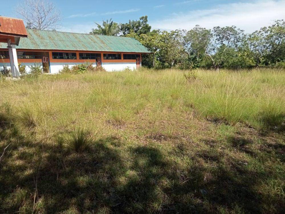 Sekolah induk SD Negeri 408 Ongkoe di Kabupaten Wajo, Sulawesi Selatan (Sulsel). Dok. IDN Times/Dinas Pendidikan Wajo