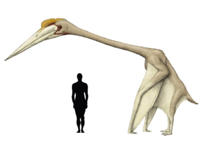 http://cdn.idntimes.com/content-images/post/20160607/1-astronomy-to-zoologytumblrcom-32b1c1be7680f9b15e265abb5383e756.png