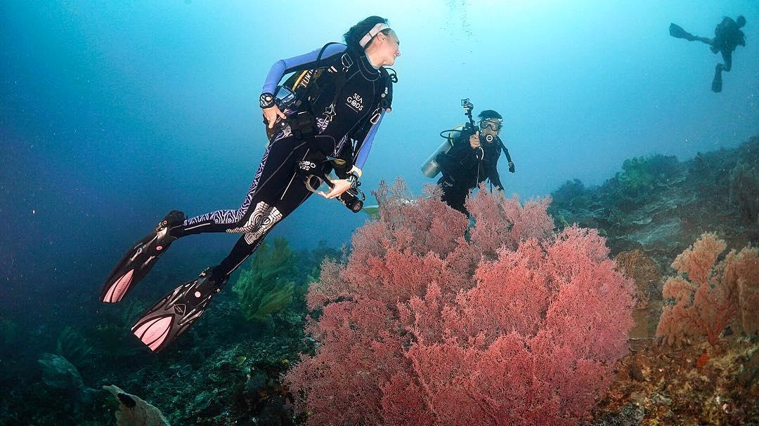 https://cdn.idntimes.com/content-images/post/20180503/1-b390beab38597a982756602155a2ed08.jpg