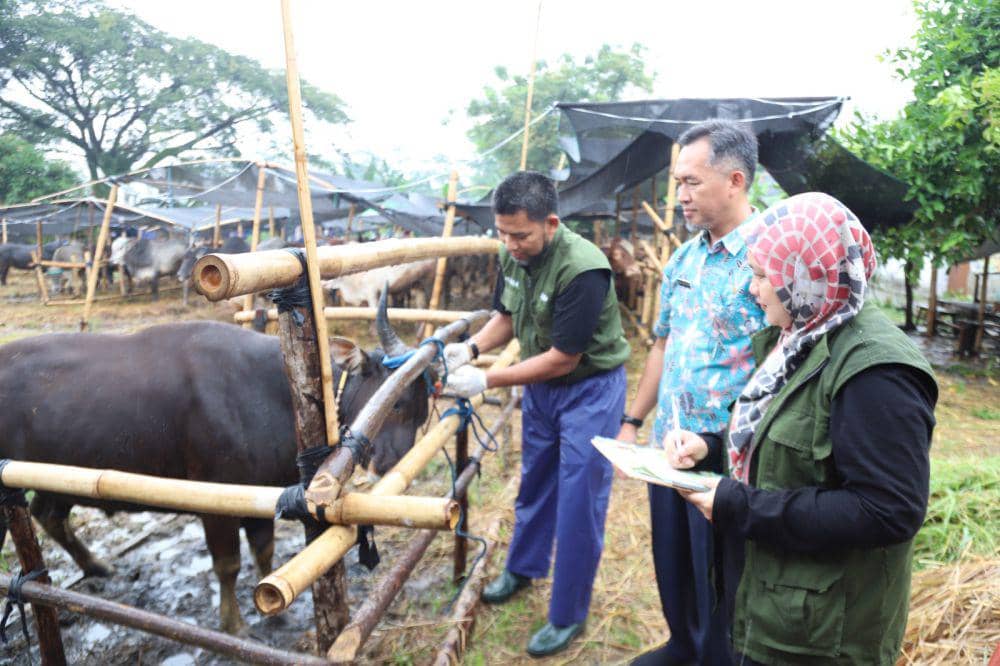 Pemkot Tangerang Imbau Warga Beli Hewan Kurban dari Pedagang Resmi