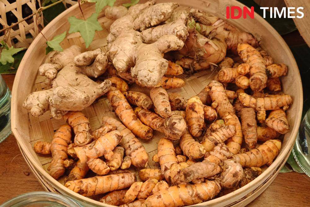 Bahan baku jamu (IDN Times/Ayu Afria)