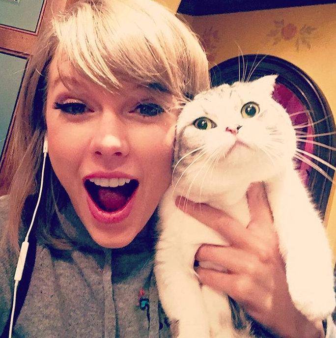 https://cdn.idntimes.com/content-images/post/20170906/102715-cat-lady-4-3c3fb8518f4e70d915f69236f9643eff.jpg