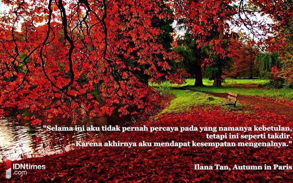 http://cdn.idntimes.com/content-images/post/20160312/12-tremendouswallpapers-387e079501b8d95aa50c141b47dd3c7b.jpg