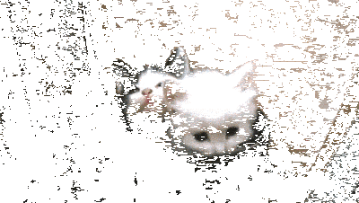 http://cdn.idntimes.com/content-images/post/20160531/14-plusgooglecom-d5f3a6fbb38e15906aa20d5f79ce9290.gif