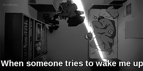 http://cdn.idntimes.com/content-images/post/20160531/15-funnyjunkcom-dcddafdf9aacb76a421e1486e9de61a6.gif
