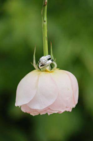 http://cdn.idntimes.com/content-images/post/old/17fb0-nikah33_pinterest.jpg