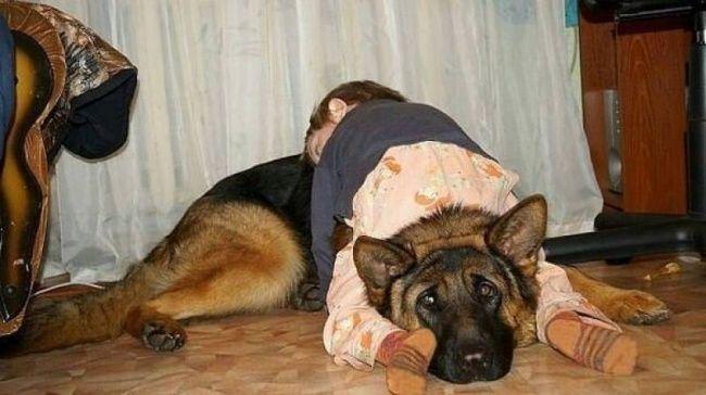 http://cdn.idntimes.com/content-images/post/20150928/19brightside.jpg