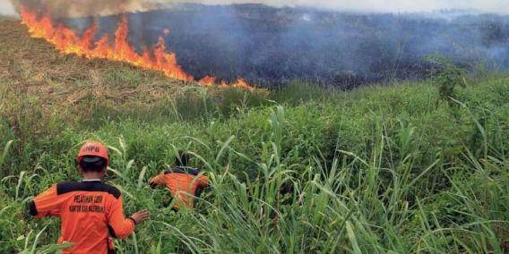 http://cdn.idntimes.com/content-images/post/20151031/1_nasional.kompas.com.jpg
