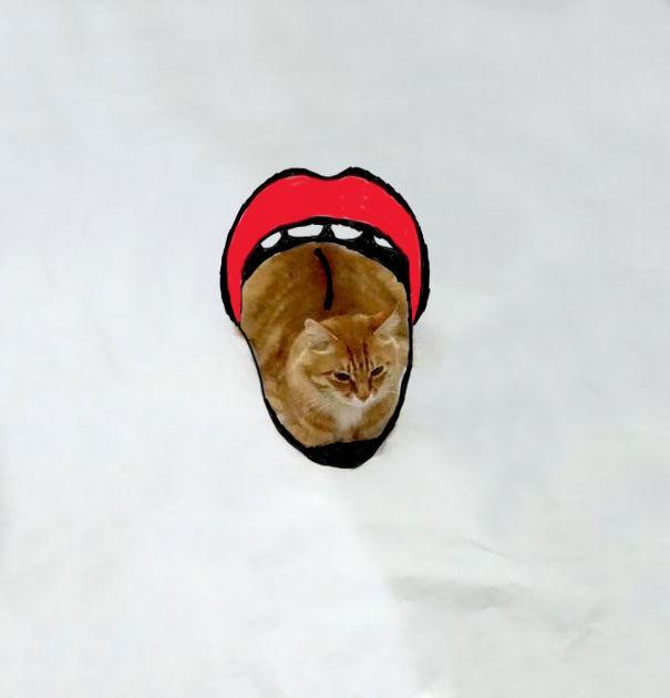 http://cdn.idntimes.com/content-images/post/20151210/1funny-doodles-on-lovely-cat-photo-kopya-605-be396db63370d2fdcc5d8043df196bb0.jpg