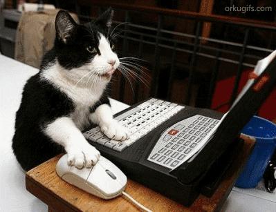 http://cdn.idntimes.com/content-images/post/20160531/2-buzzfeedcom-df5d1405cfe9d3a415b2fd8924626116.gif