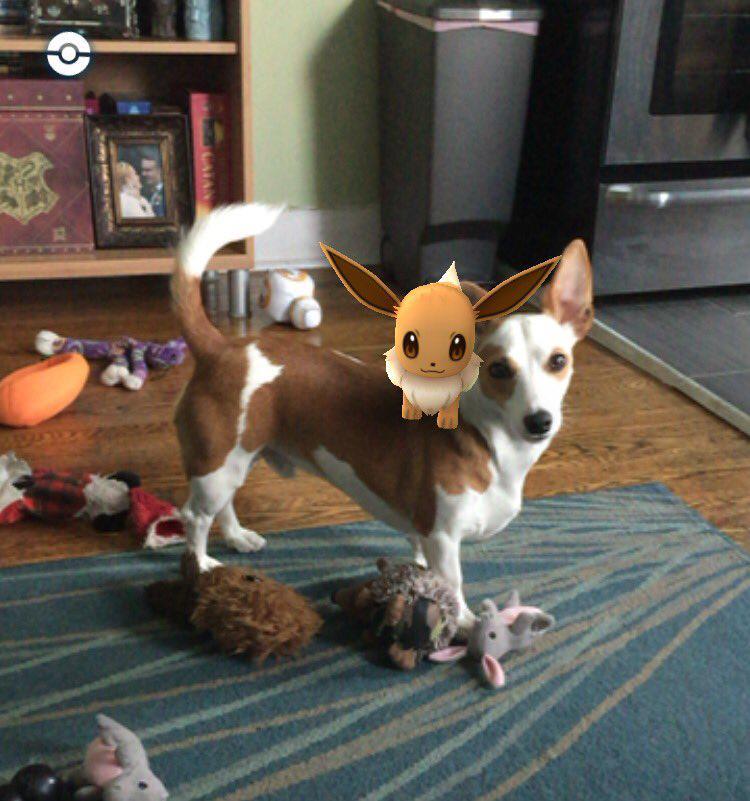 http://cdn.idntimes.com/content-images/post/20160719/23-dog-bff-39c07fb516ab5d9c02f40e64fe72ab7e.jpg