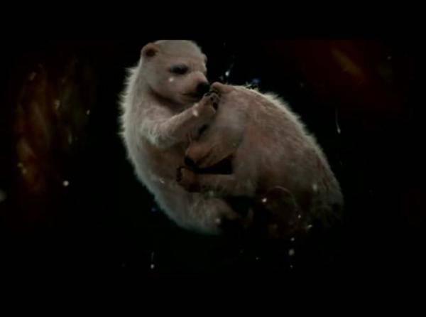 http://cdn.idntimes.com/content-images/post/old/2794f-Polar-Bears---viralscape.com.jpg