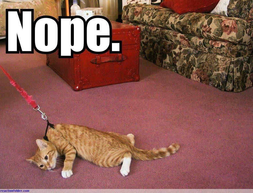 http://cdn.idntimes.com/content-images/post/old/2feeb-2_funnyjunkcom.jpg
