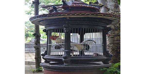 http://cdn.idntimes.com/content-images/post/old/30a8c-Udayana5_dokumenpribadi.jpg