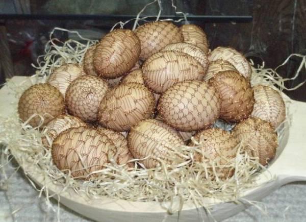 http://cdn.idntimes.com/content-images/post/old/35a27-Telur9-RepublikCeko_boredpandacom.jpg