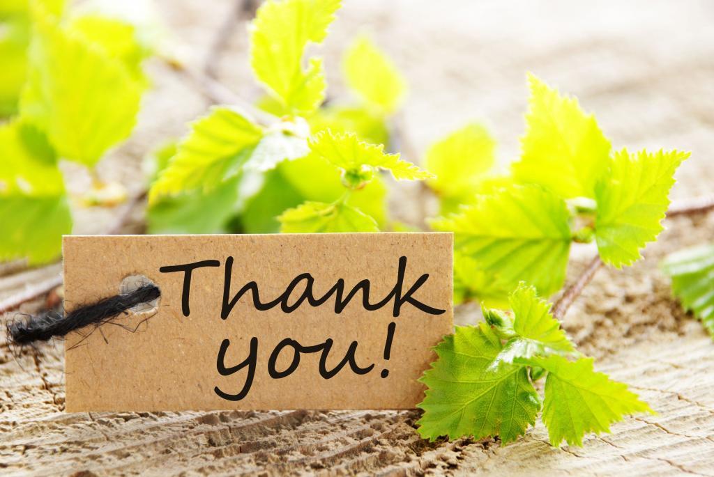 http://cdn.idntimes.com/content-images/post/old/3bbce-thank-you-card_kfmcoza.jpg