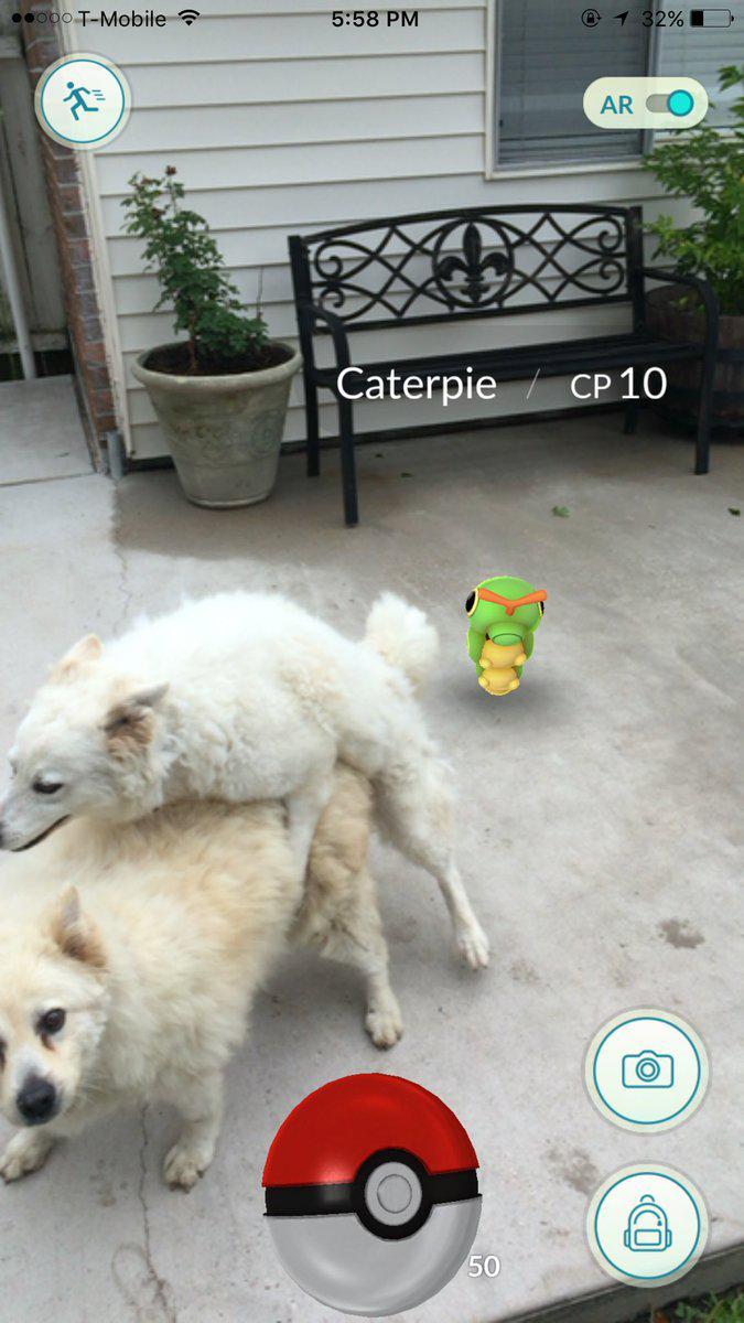 http://cdn.idntimes.com/content-images/post/20160719/4-dog-mating-7b4ee24407c5eb38f5176bf60882fb9a.jpg