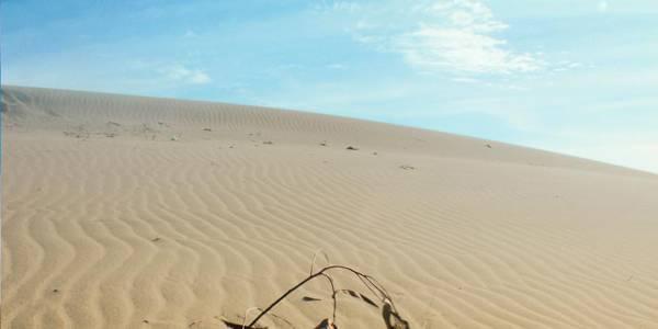 http://cdn.idntimes.com/content-images/post/old/401f7-parangkusumo-yogyakarta---blogspot.com.jpg