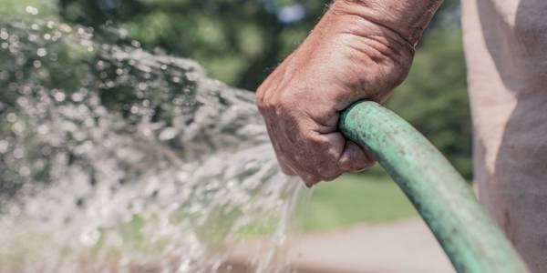 http://cdn.idntimes.com/content-images/post/old/41b6f-gardening---pexels.com.jpg