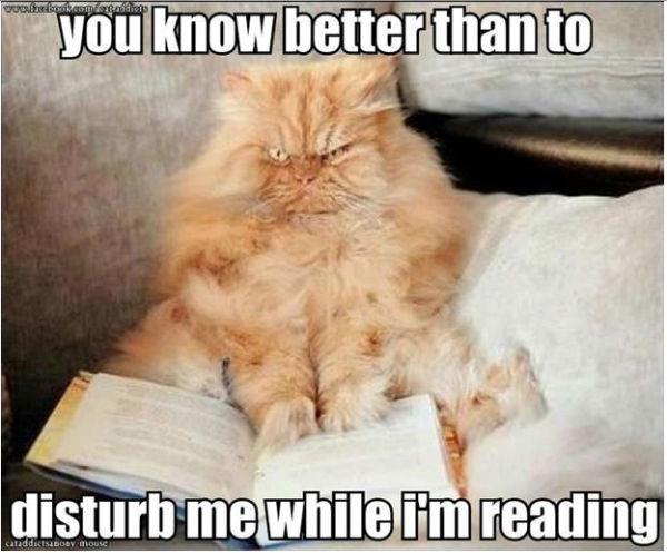 http://cdn.idntimes.com/content-images/post/old/42968-Buku1_dumpadaycom.jpg