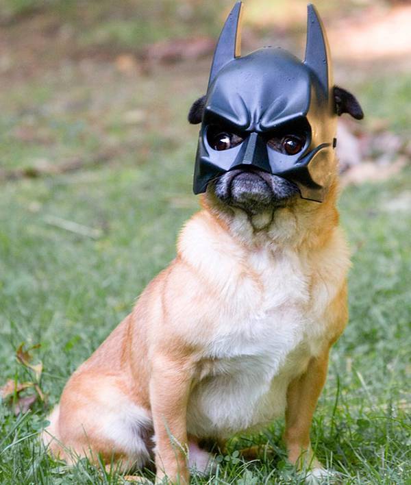 http://cdn.idntimes.com/content-images/post/old/4ea9a-14_Batman.jpg