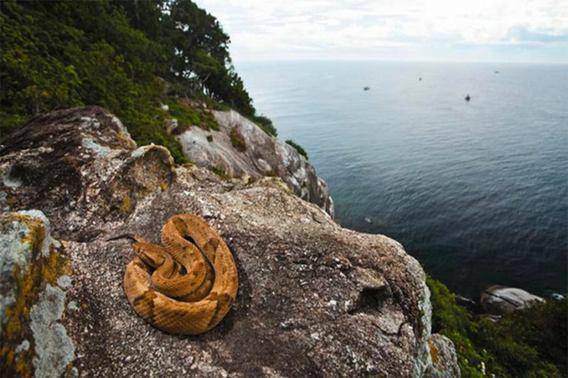 http://cdn.idntimes.com/content-images/post/20160331/4pulauular-eb3e88eee0d53d1cfc81cb10e661b551.jpg