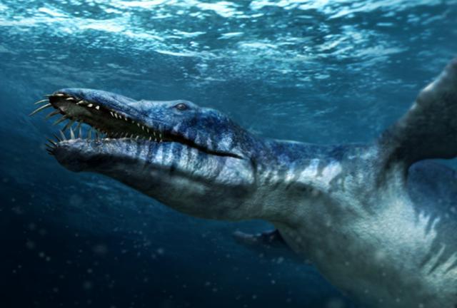 http://cdn.idntimes.com/content-images/post/20160607/5-dinosaursaboutcom-59b7e0d705cfa3da7e855f4af3962a4e.jpg