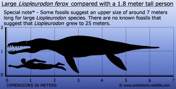 http://cdn.idntimes.com/content-images/post/20160607/5-prehistoric-wildlifecom-506c3955e93bc7ab97929919fb39efe5.jpg