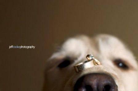 http://cdn.idntimes.com/content-images/post/old/50f18-nikah31_pinterest.jpg