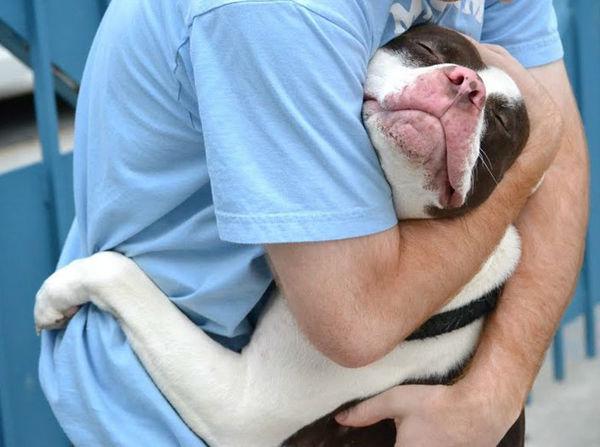 http://cdn.idntimes.com/content-images/post/old/52ad4-Anjing6_tumblrcom.jpg