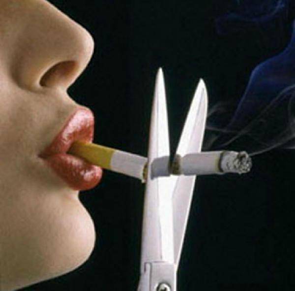 http://cdn.idntimes.com/content-images/post/old/54c20-2_web-sehat_blogspot.jpg