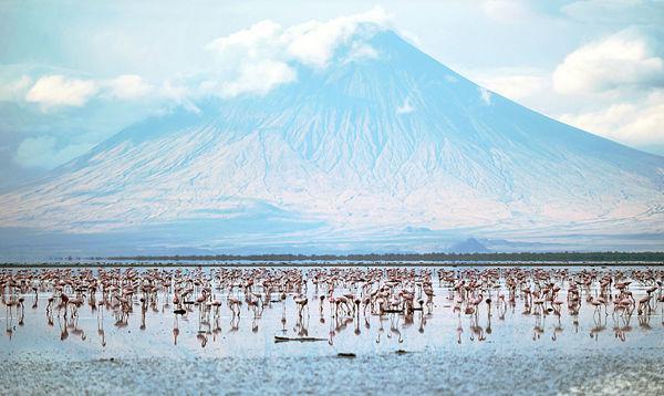 http://cdn.idntimes.com/content-images/post/old/569a8-Dunia13_gettyimagescom.jpg