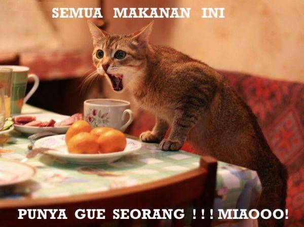 http://cdn.idntimes.com/content-images/post/old/57b00-Foodies8_hdwallpaperscom.jpg