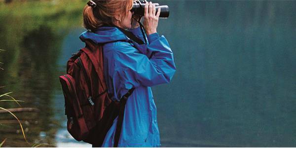 http://cdn.idntimes.com/content-images/post/old/5ffd3-solo-traveler---brilliantbias.con.jpg