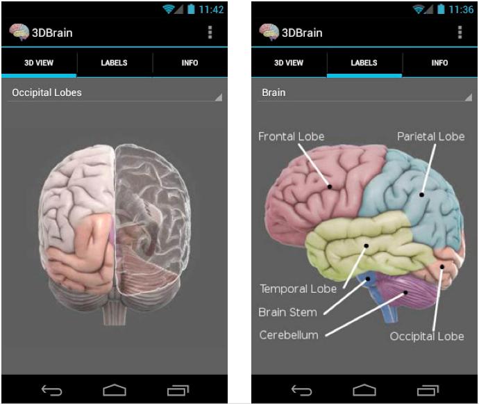 https://cdn.idntimes.com/content-images/post/20171129/65-2-psychology-mahasiswa-student-app-52beb787926992813d0dda68783c37ab.png