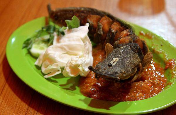 http://cdn.idntimes.com/content-images/post/old/65b40-Indonesia18_jenzcornernet.jpg