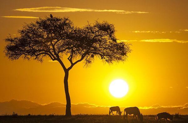 http://cdn.idntimes.com/content-images/post/old/6e86c-Sunrise5_nationalgeographiccom.jpg