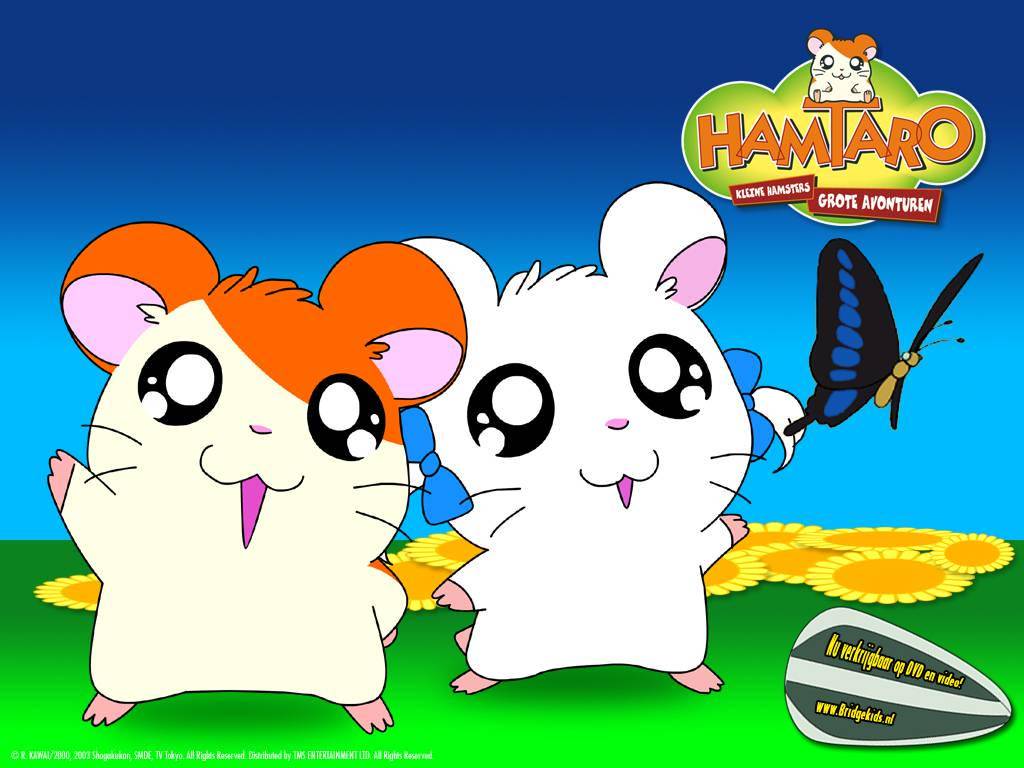 http://cdn.idntimes.com/content-images/post/old/7d180-hamtaro_2.jpg