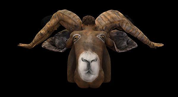 http://cdn.idntimes.com/content-images/post/old/7fdf5-Zodiac1-Aries_boredpandacom.jpg