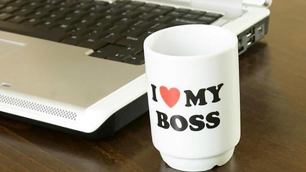 http://cdn.idntimes.com/content-images/post/old/82c38-7_entrepreneur.jpg
