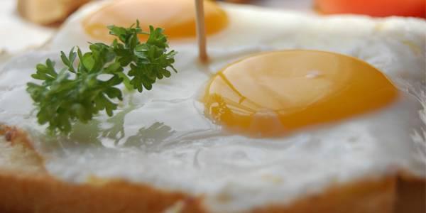 http://cdn.idntimes.com/content-images/post/old/8cc59-telur----wikimedia.org.jpg
