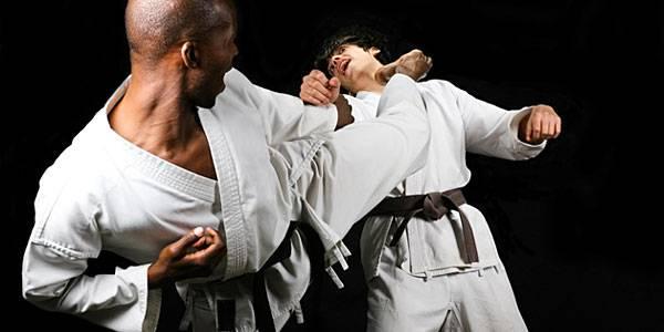 http://cdn.idntimes.com/content-images/post/old/925f1-olah47_gpmmartialarts.jpg